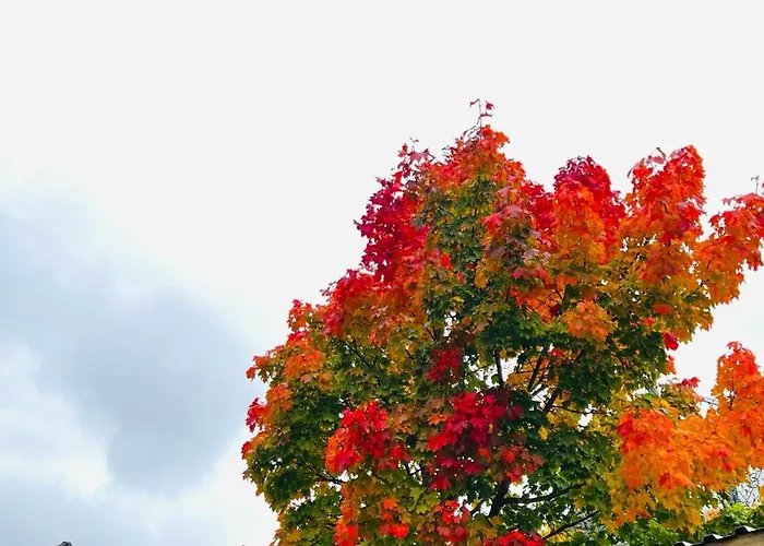 53qm 2zimmer Helle Familiewhg Mit Garten Nahe Uni